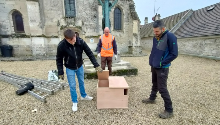 Remplacement de nichoir à Effraies