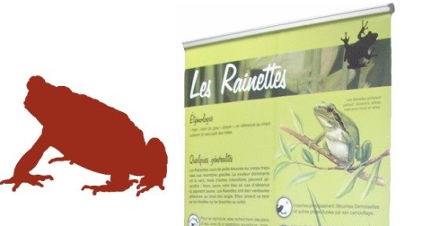 Expo Amphibiens de France