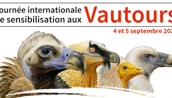 Bandeau Journées des vautours 2021